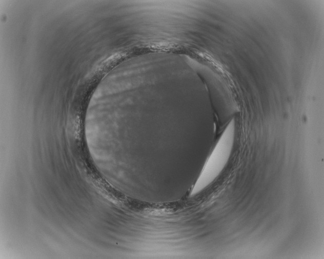 X0000085820689200704132012