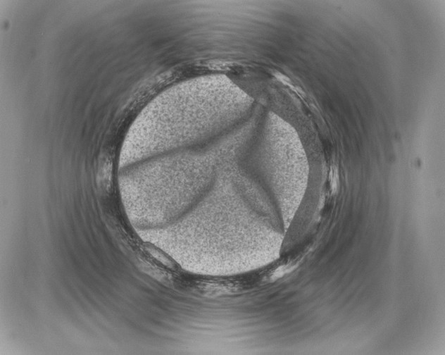 X0000085820697200704132012