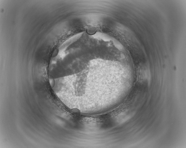 X0000085820699200704132012
