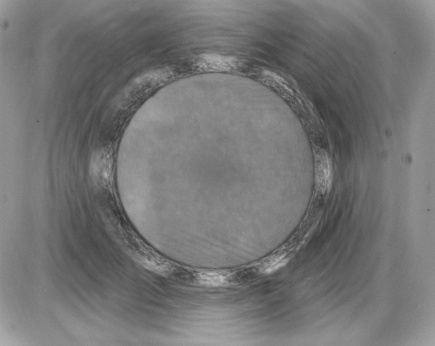 X0000085820701200704132012