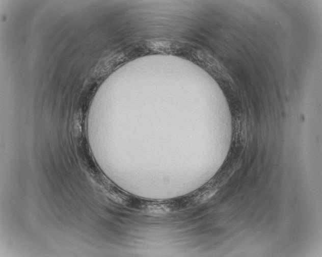 X0000085820702200704132012
