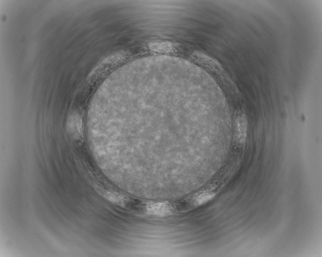 X0000085820705200704132012