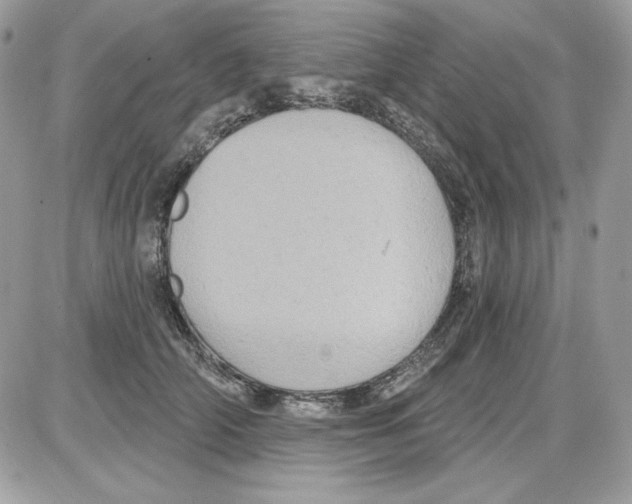 X0000085820706200704132012