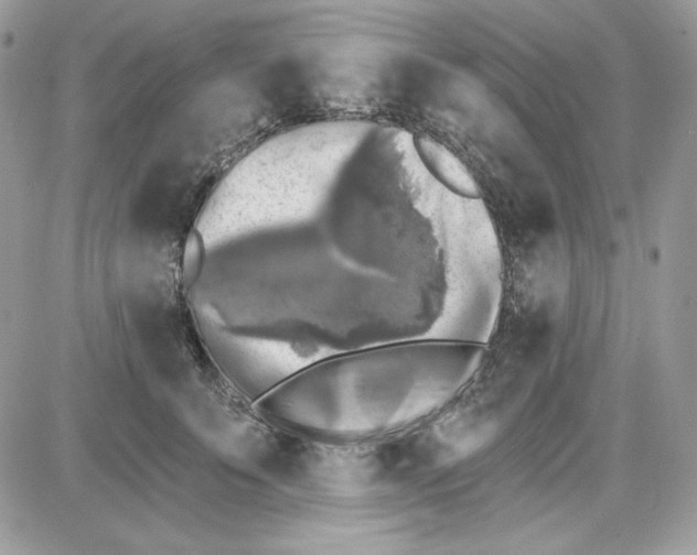 X0000085820707200704132012