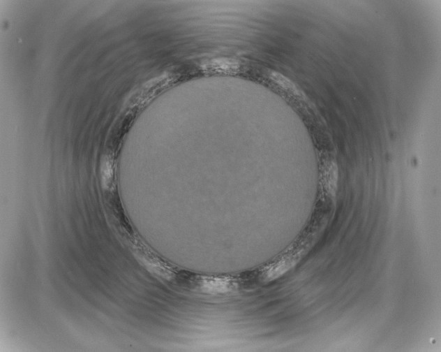 X0000085820709200704132012