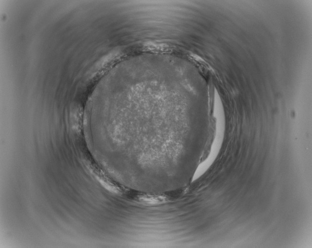 X0000085820712200704132012