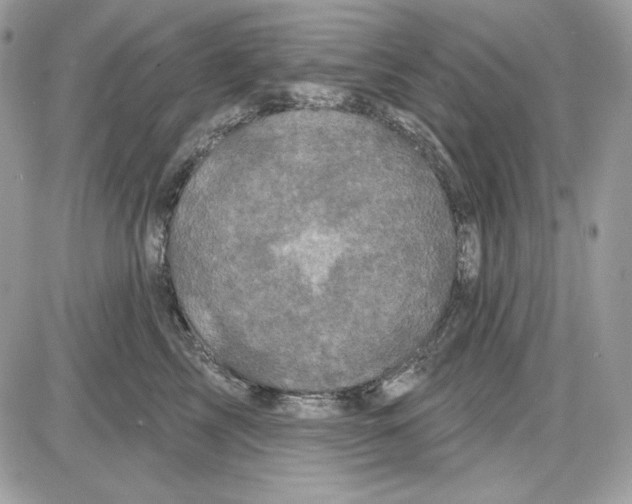 X0000085820713200704132012