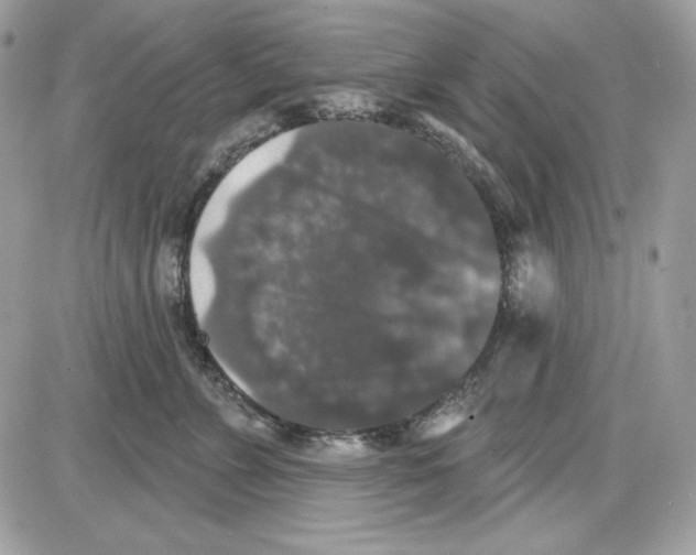X0000085820715200704132012