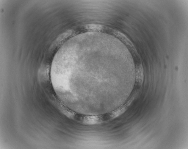 X0000085820717200704132012