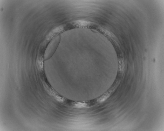 X0000085820718200704132012