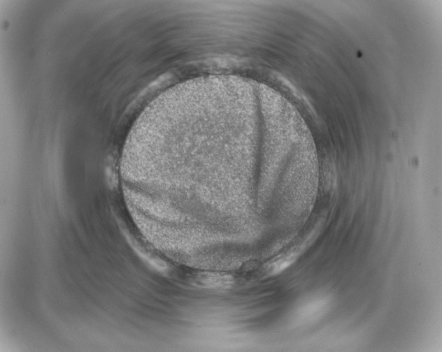 X0000085820719200704132012
