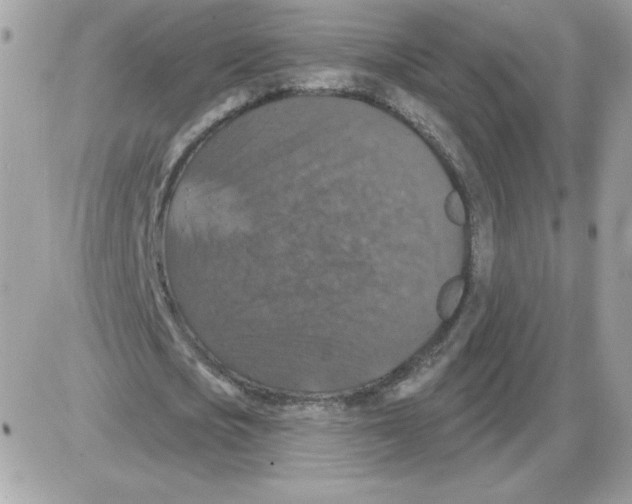 X0000085820721200704132011