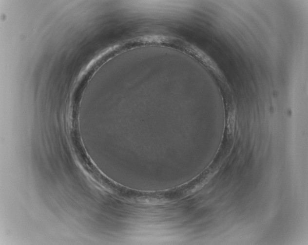 X0000085820722200704132011