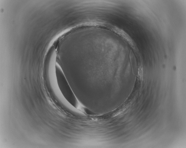X0000085820724200704132011