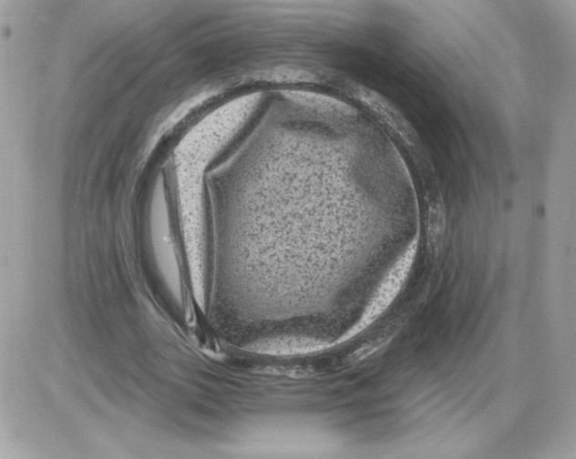 X0000085820727200704132011