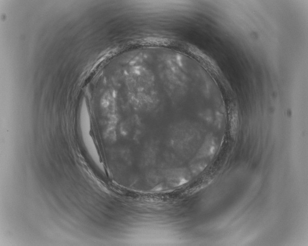 X0000085820729200704132011