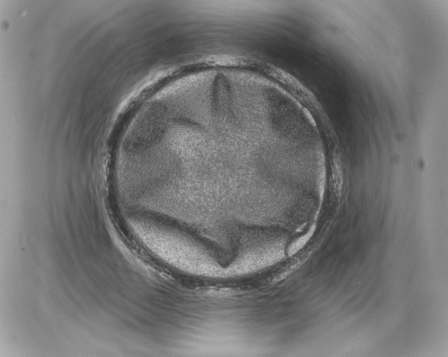 X0000085820730200704132011