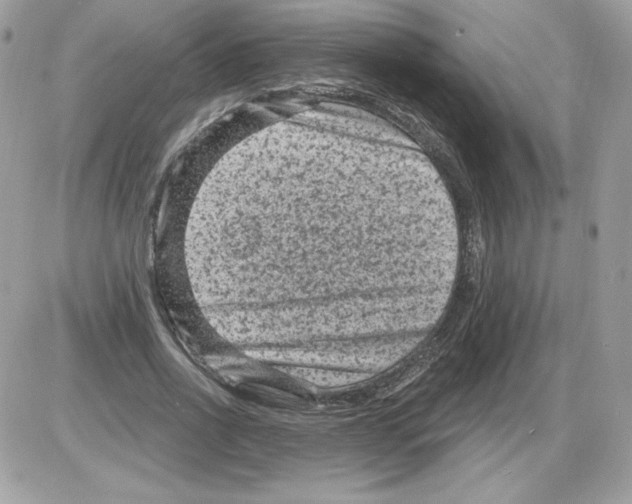 X0000085820734200704132011