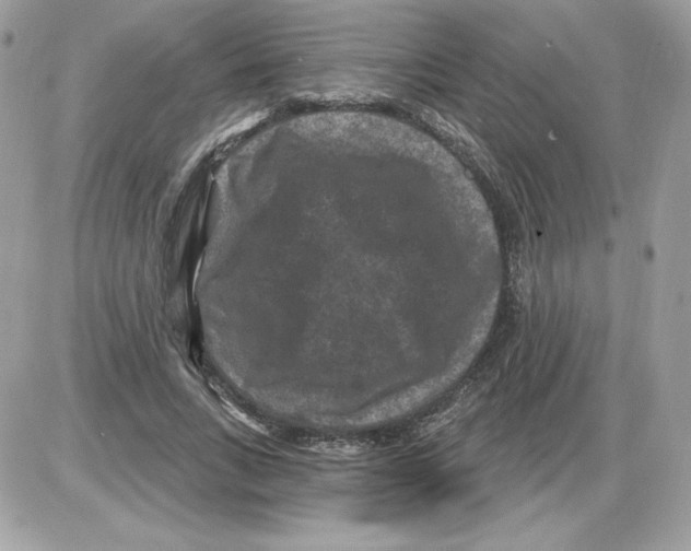 X0000085820735200704132011