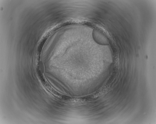 X0000085820736200704132011