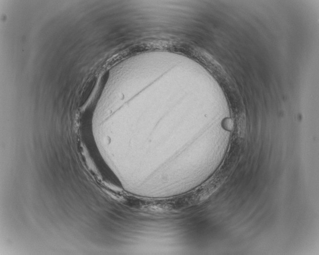 X0000085820737200704132011