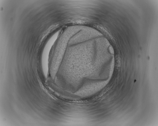 X0000085820738200704132011
