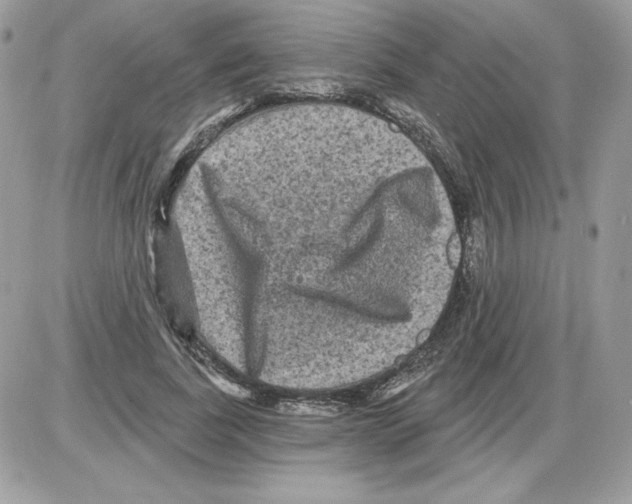 X0000085820739200704132011