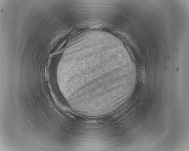 X0000085820740200704132011