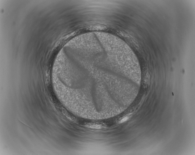 X0000085820743200704132011