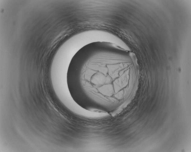 X0000085820744200704132011