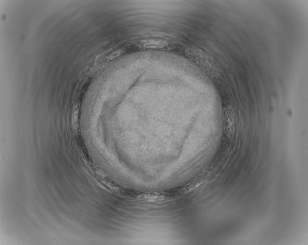X0000085820745200704132011