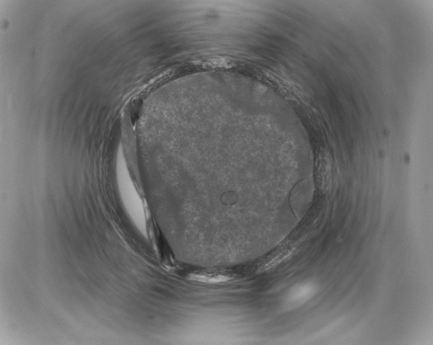 X0000085820747200704132011
