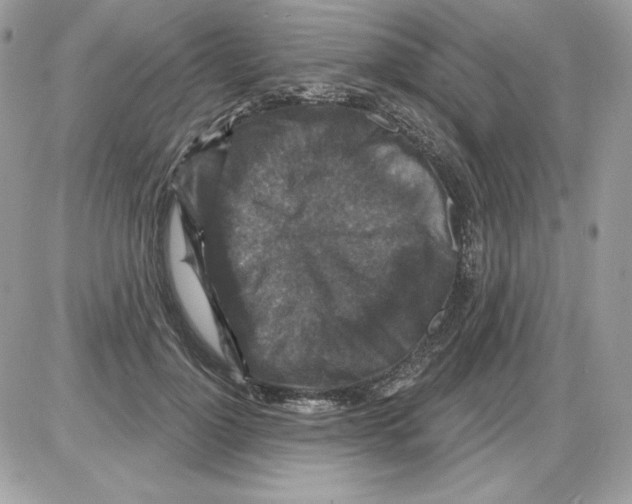 X0000085820748200704132011