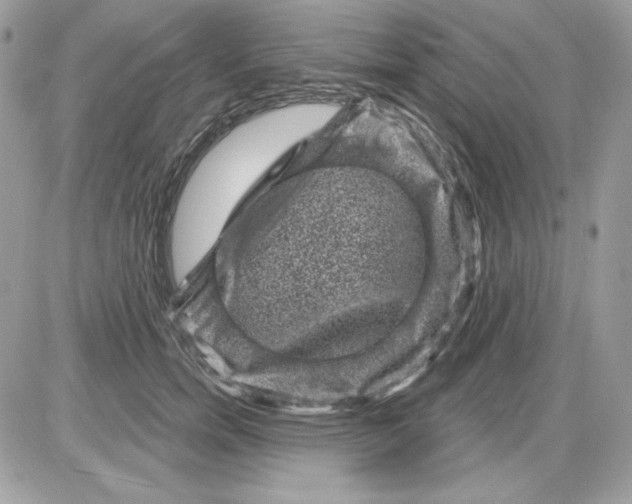 X0000085820750200704132011