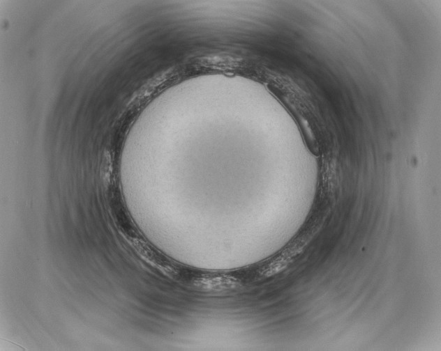 X0000085820752200704132012