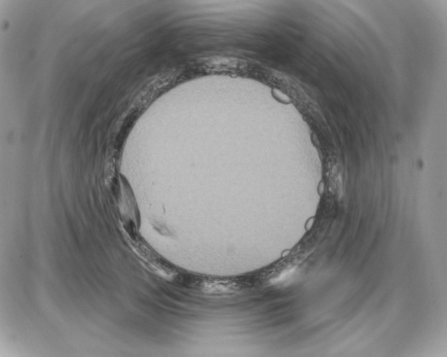 X0000085820753200704132012