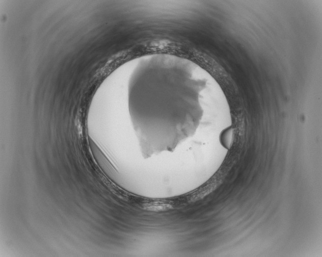 X0000085820754200704132012
