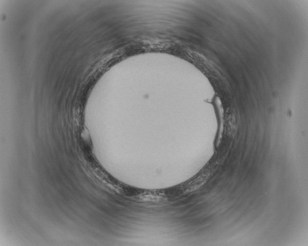 X0000085820756200704132012