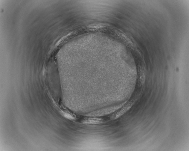 X0000085820758200704132012