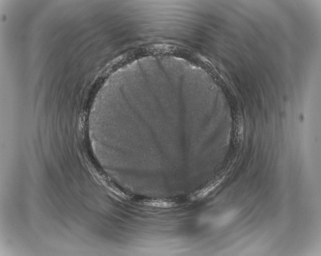 X0000085820759200704132012