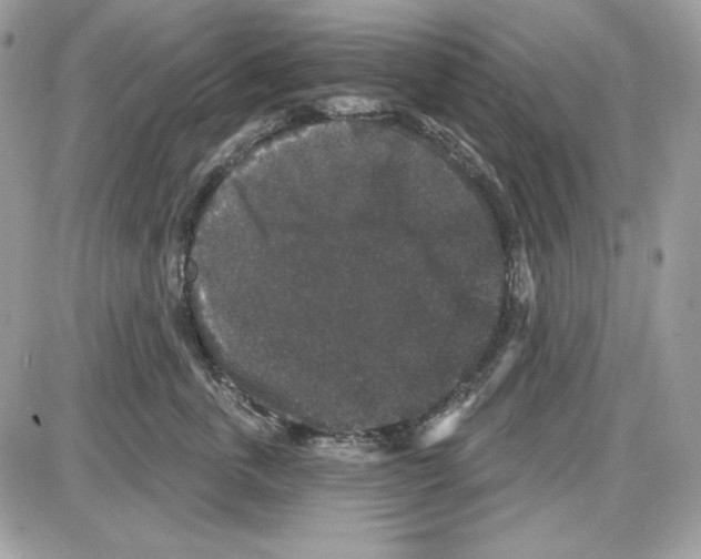 X0000085820763200704132012