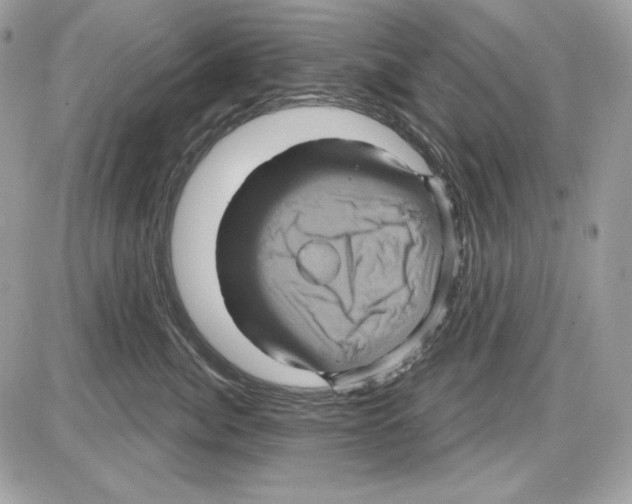 X0000085820764200704132012