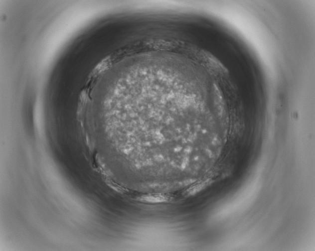 X0000085820765200704132012