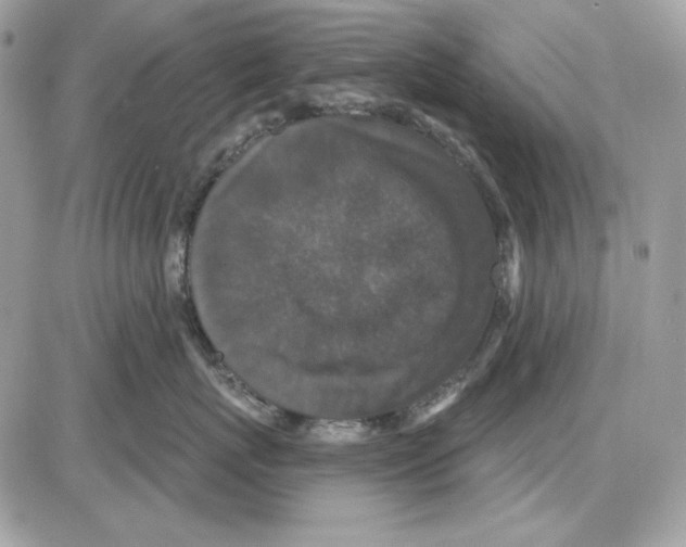 X0000085820767200704132012