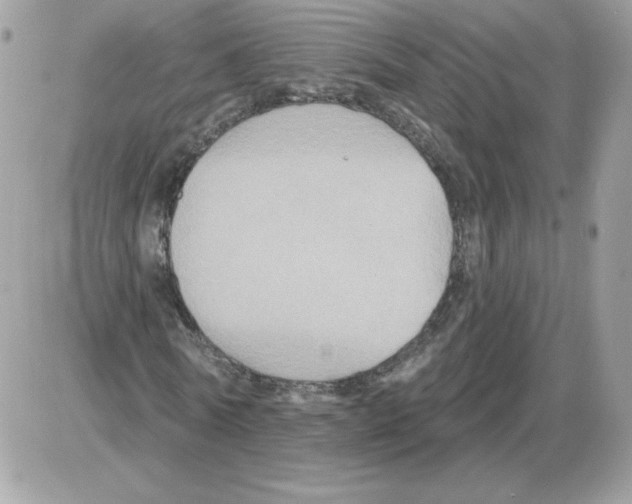 X0000085820770200704132011