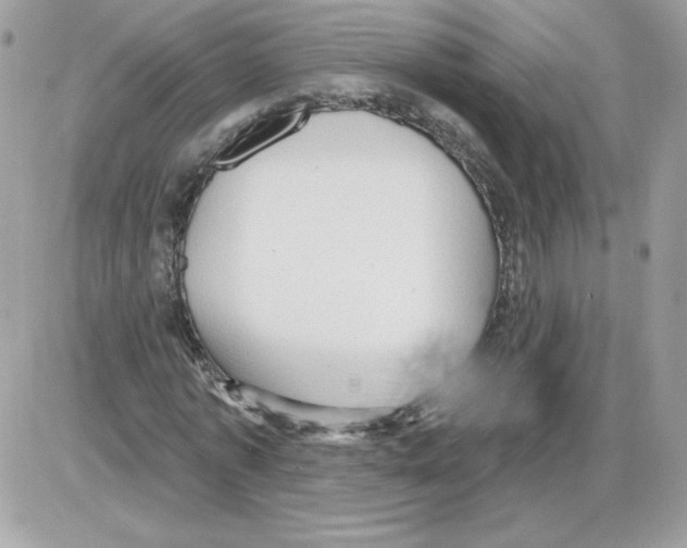 X0000085820773200704132011