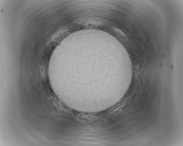 X0000085820774200704132011