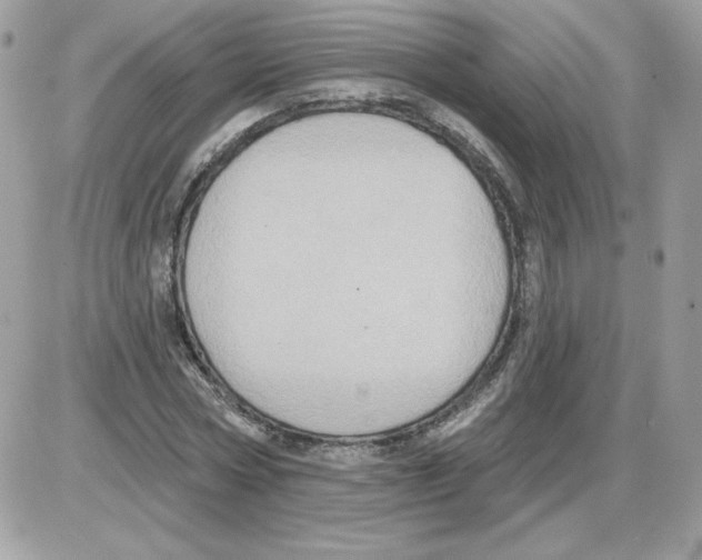 X0000085820778200704132011
