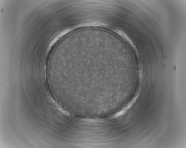 X0000085820781200704132011