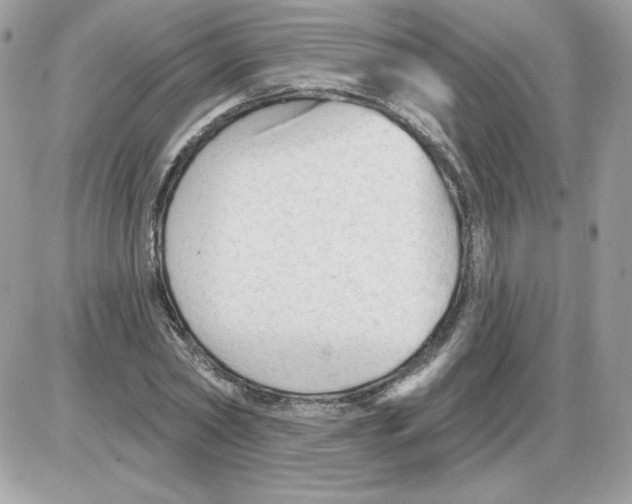X0000085820782200704132011